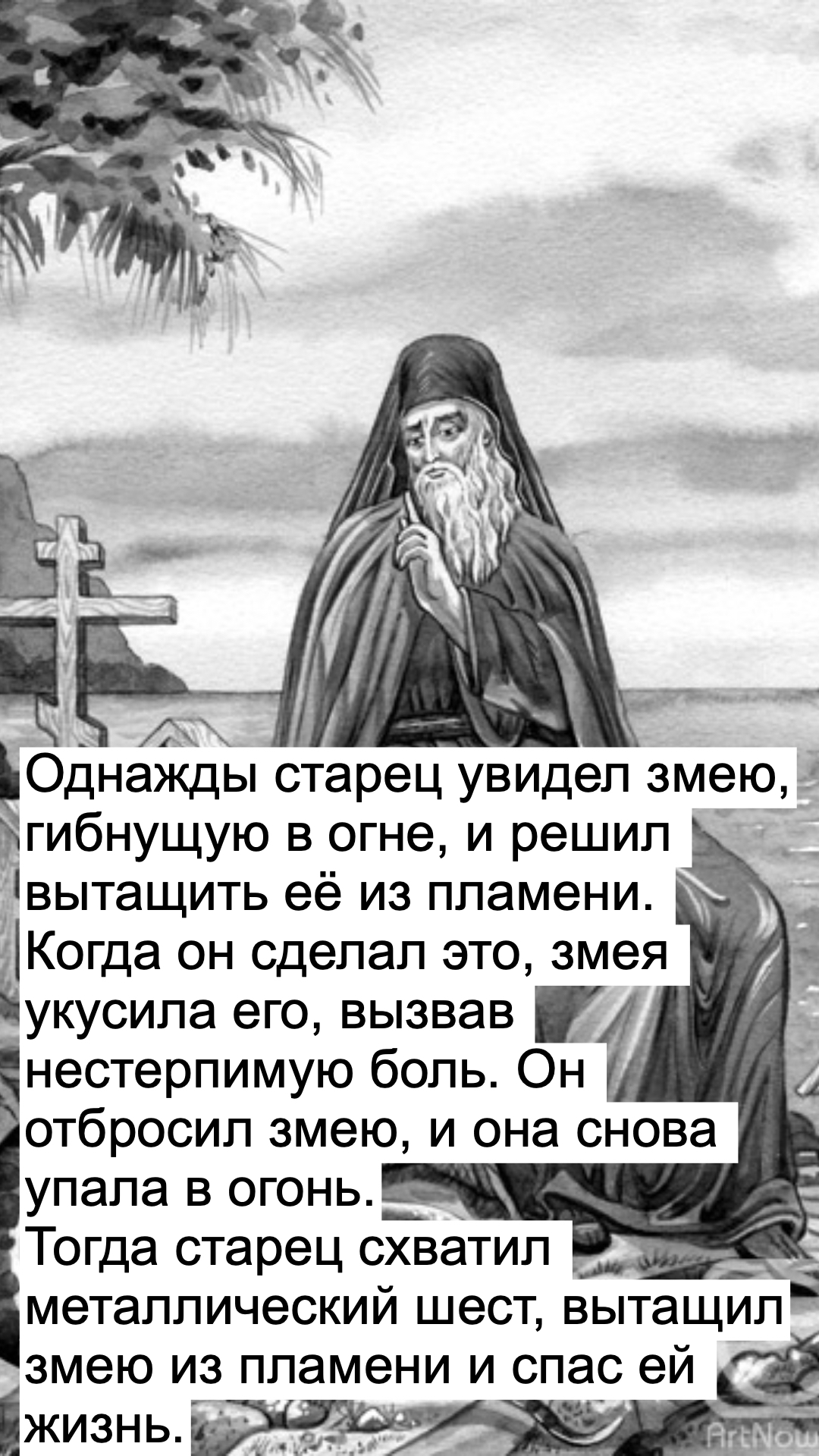 Однажды старец увидел змею, гибнущую в огне, и решил вытащить её из пламени. Когда он сделал это, змея укусила его, вызвав нестерпимую боль. Он отбросил змею, и она снова упала в огонь.Тогда старец схватил металлический шест, вытащил змею из пламени и спас ей жизнь.