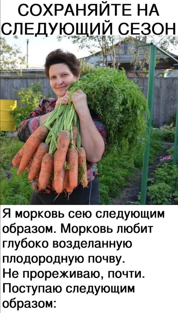 Я морковь сею следующим образом. 