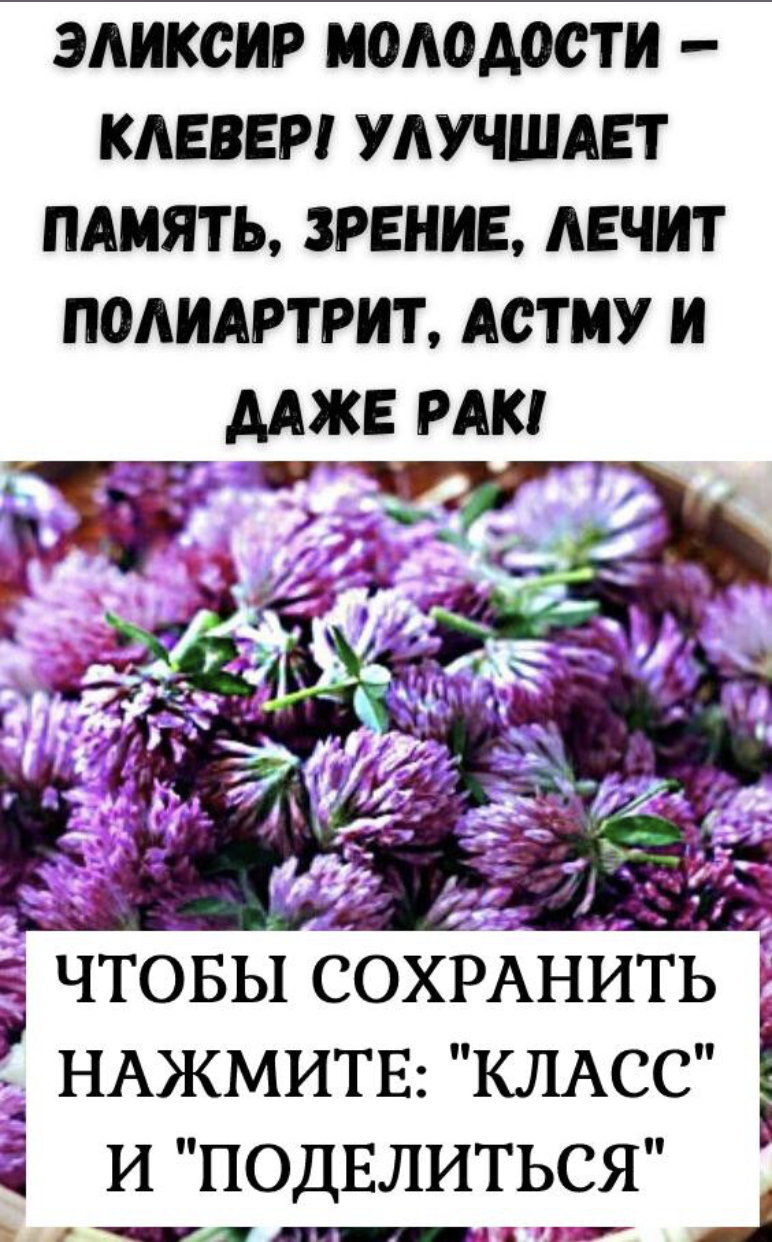 ЭЛИКСИР МОЛОДОСТИ -КЛЕВЕР! УЛУЧШАЕТ ПАМЯТЬ, ЗРЕНИЕ, ЛЕЧИТПОЛИАРТРИТ, АСТМУ ИДАЖЕ РАКІ