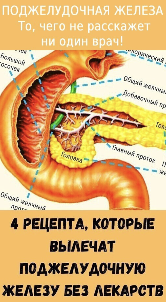 4 РЕЦЕПТА, КОТОРЫЕ ВЫЛЕЧАТ ПОДЖЕЛУДОЧНУЮЖЕЛЕЗУ БЕЗ ЛЕКАРСТВ