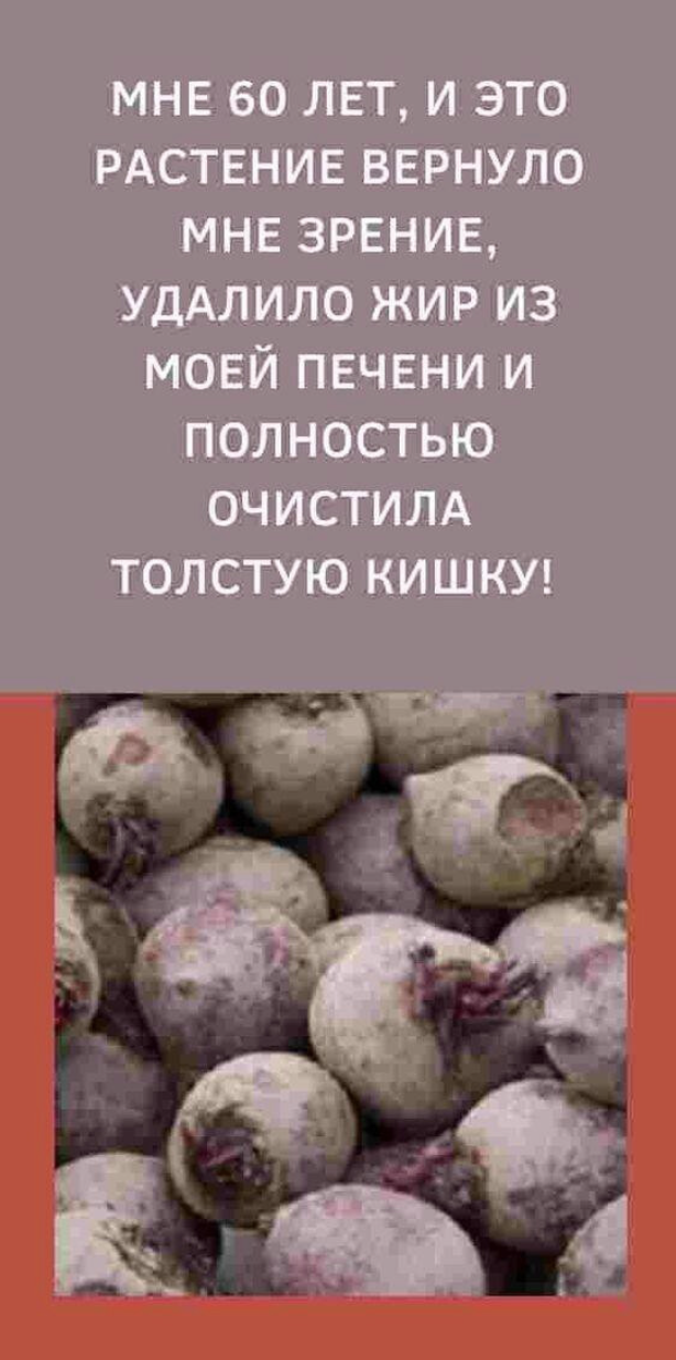 МНЕ 60 ЛЕТ, И ЭТО РАСТЕНИЕ ВЕРНУЛО МНЕ ЗРЕНИЕ, УДАЛИЛО ЖИР ИЗ МОЕЙ ПЕЧЕНИ ИпоЛностЬюОЧИСТИЛАТОЛСТУЮ КИШКУ!