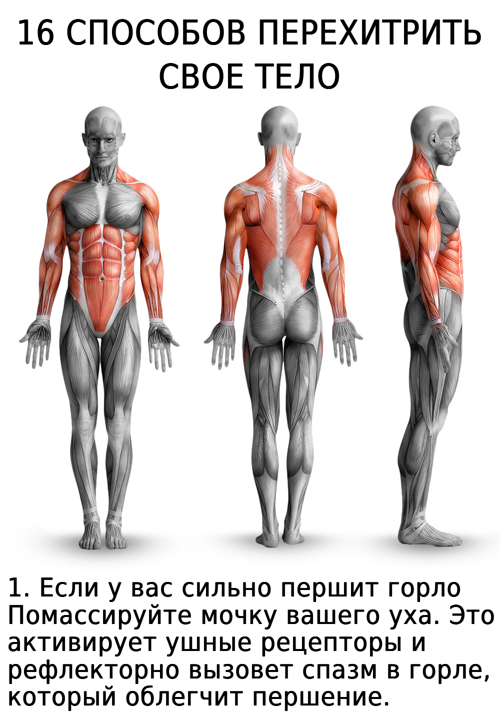 16 способов перехитрить свое тело