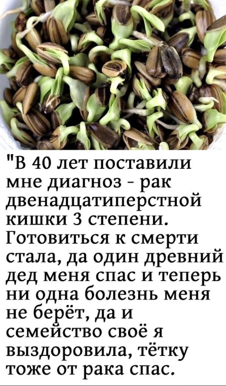 “В 40 лет поставили мне диагноз – рак двенадцатиперстнойкишки 3 степени. Готовиться к смерти стала, да один древний дед меня спас и теперь ни одна болезнь меня не берёт, да и семейство своё я выздоровила, тёткутоже от рака спас.