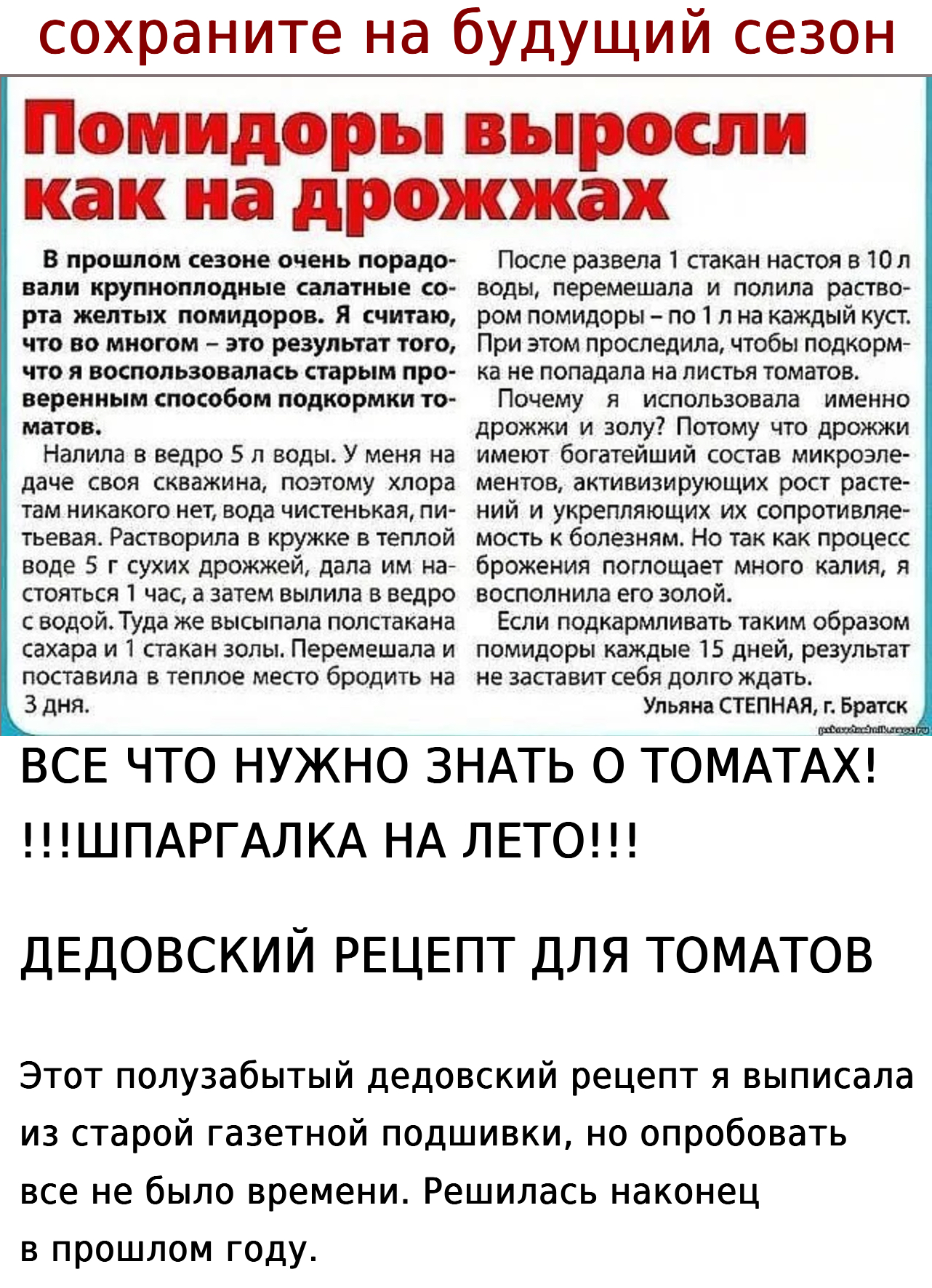 ВСЕ ЧТО НУЖНО ЗНАТЬ О ТОМАТАХ! !!!