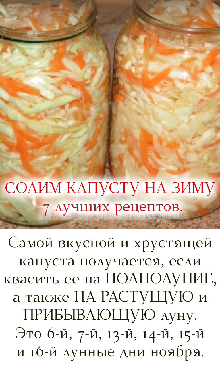 СОЛИМ КАПУСТУ НА ЗИМУ