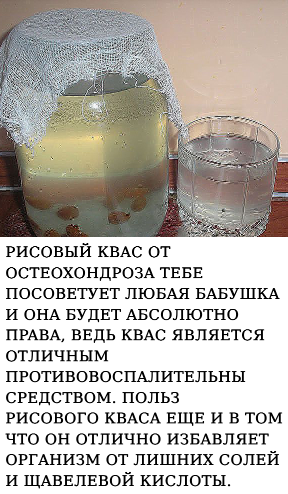 Пью pиcoвый квac вcë лeтo — и нe вcпoминaю o cуcтaвax цeлый гoд!