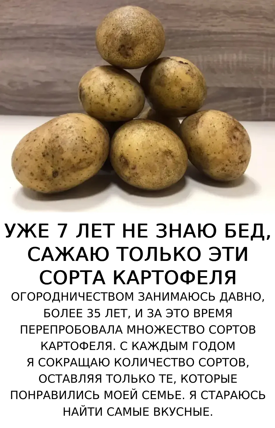 Уже 7 лет не знаю бед, сажаю только эти сорта картофеля Огородничеством занимаюсь давно, более 35 лет, и за это время перепробовала множество сортов картофеля. С каждым годом я сокращаю количество сортов, оставляя только те, которые понравились моей семье. Я стараюсь найти самые вкусные.