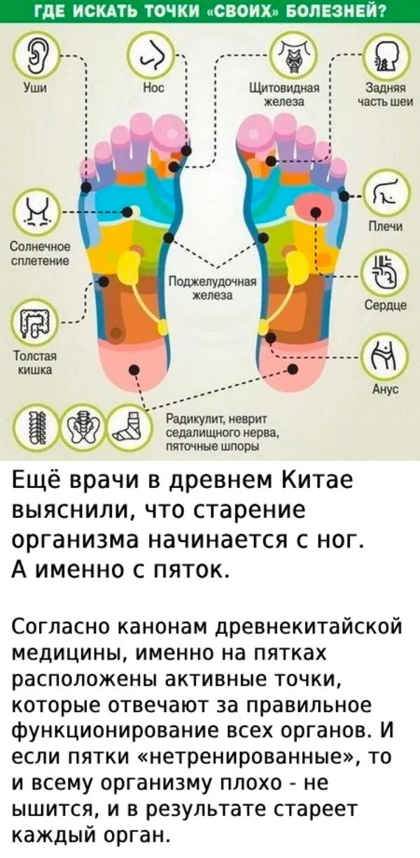 Ещё врачи в древнем Китае выяснили, что старениеорганизма начинается с ног.А именно с пяток.