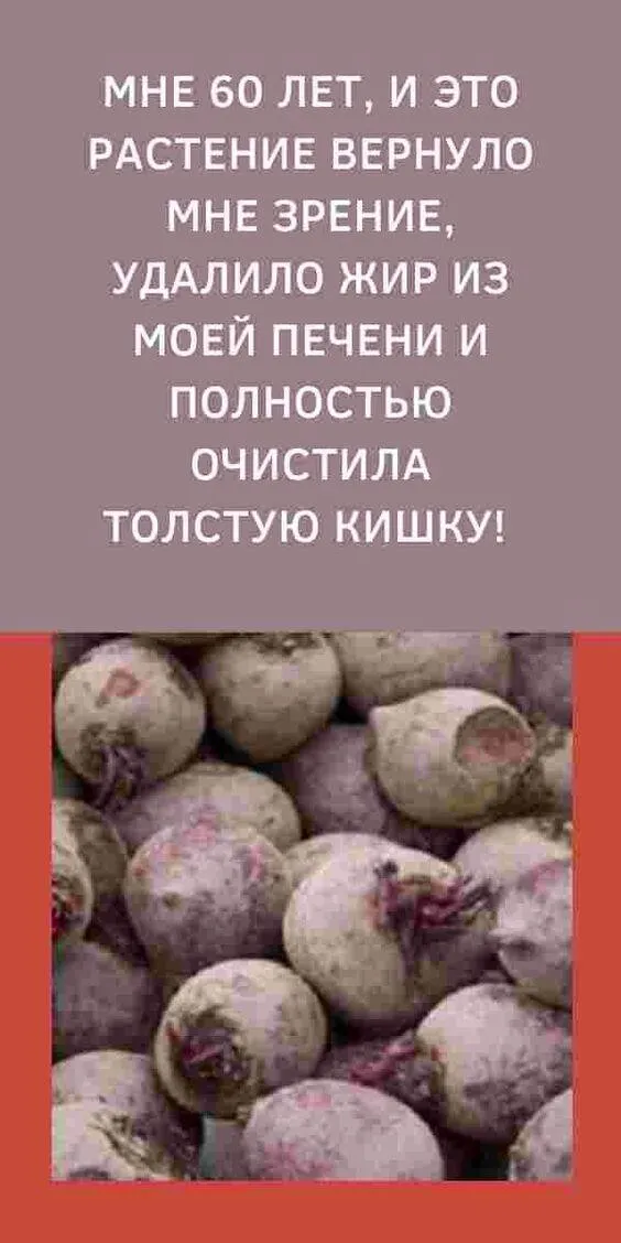 МНЕ 60 ЛЕТ, И ЭТО РАСТЕНИЕ ВЕРНУЛО МНЕ ЗРЕНИЕ, УДАЛИЛО ЖИР ИЗ МОЕЙ ПЕЧЕНИ ИполностьюОЧИСТИЛАТОЛСТУЮ КИШКУ!