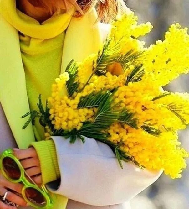 Новогоднее желание (сказки для взрослых). Продолжение