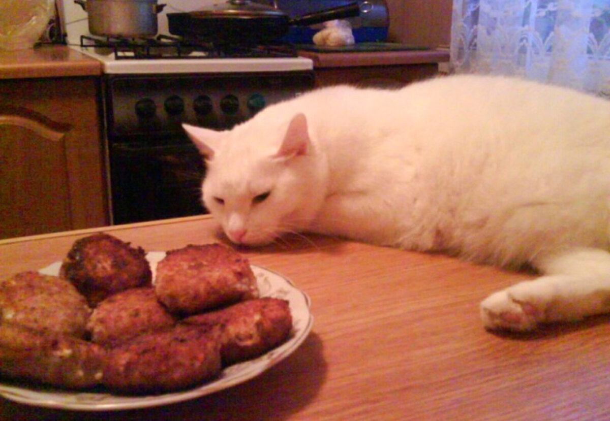 Добытчик. Продолжение