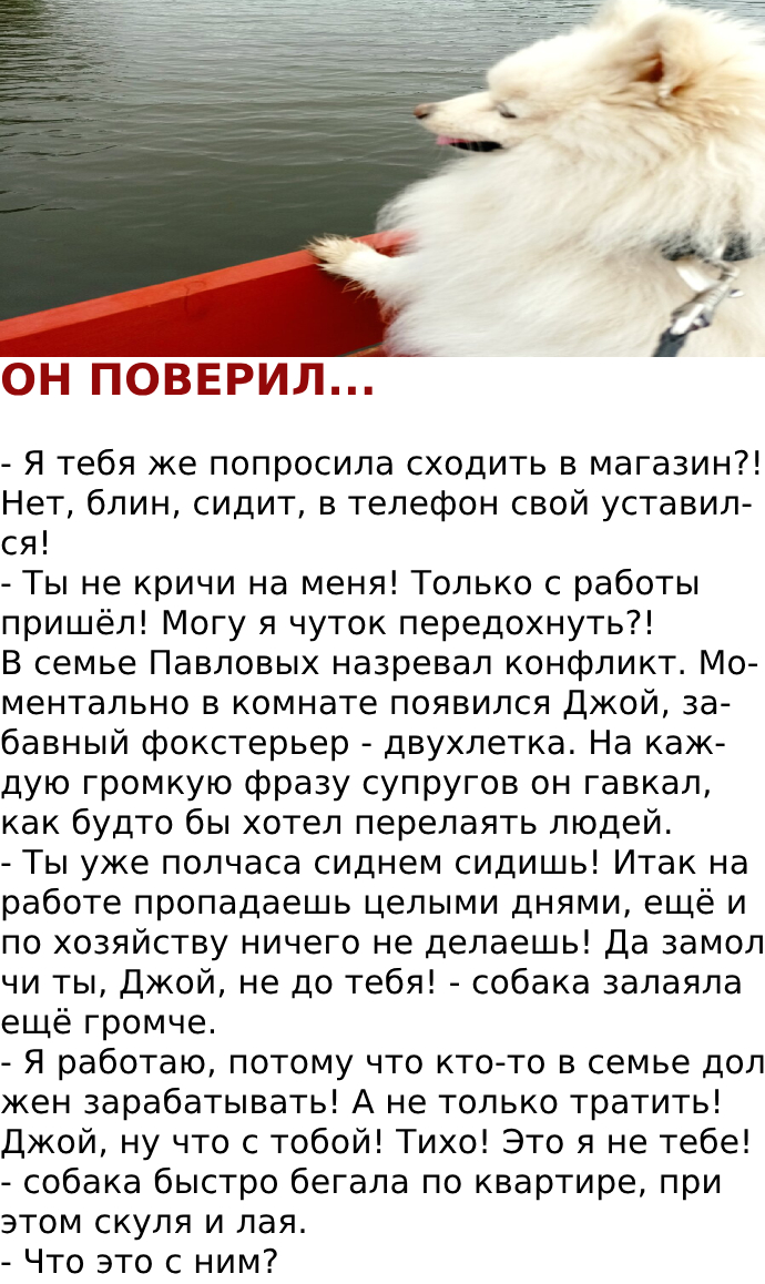 ОН ПОВЕРИЛ…