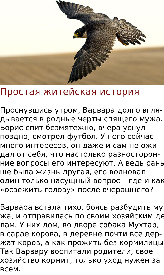 Простая житейская история