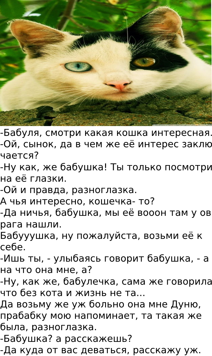 Дуня