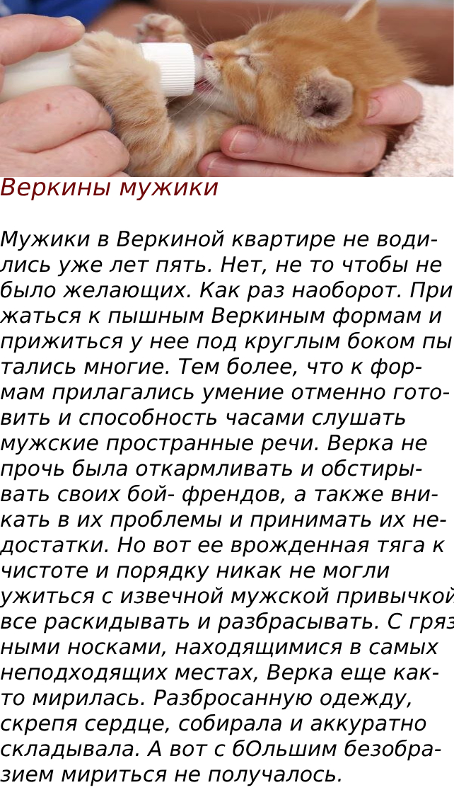 Веркины мужики