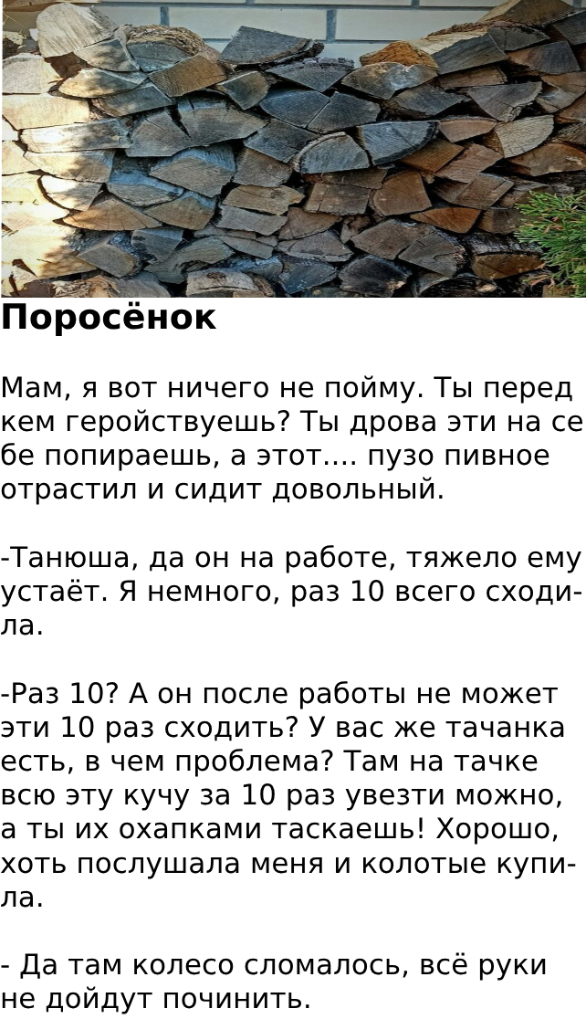 Поросёнок