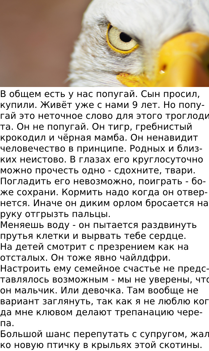 Кеша