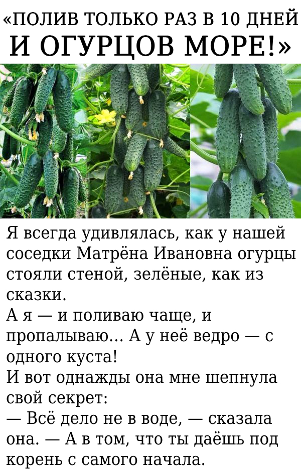 Запись без названия 7725