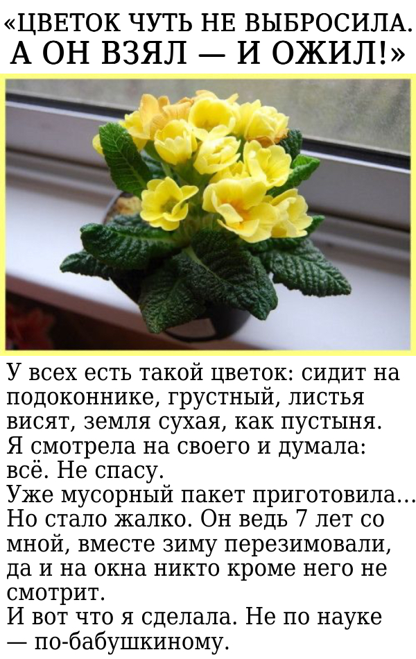 Запись без названия 7728