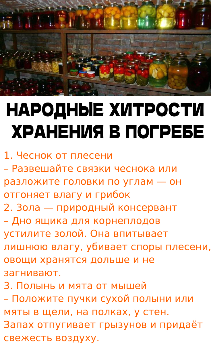НАРОДНЫЕ  ХИТРОСТИ   ХРАНЕНИЯ  В  ПОГРЕБЕ