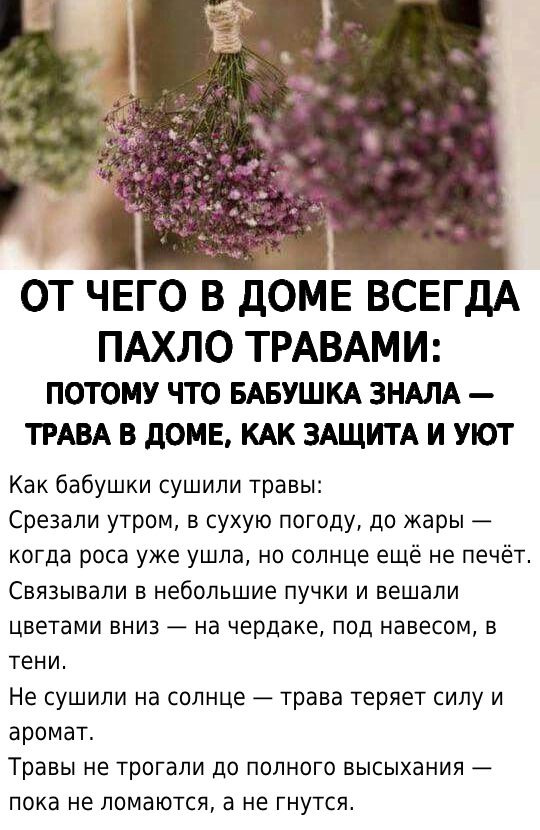 От чего в доме всегда пахло травами?