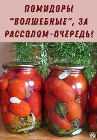 Запись без названия 7667