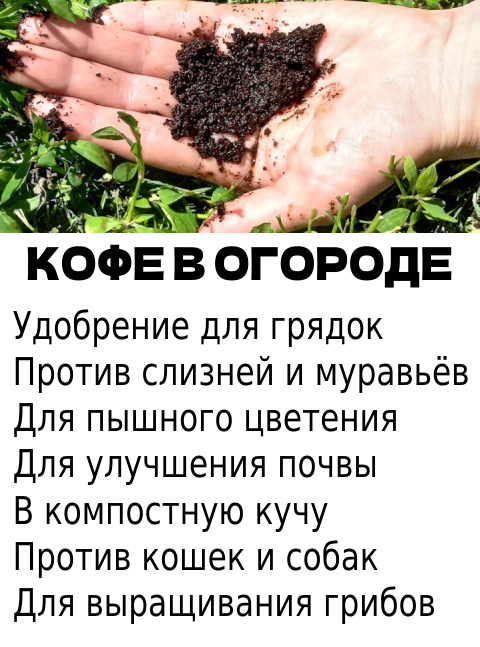 Запись без названия 7834