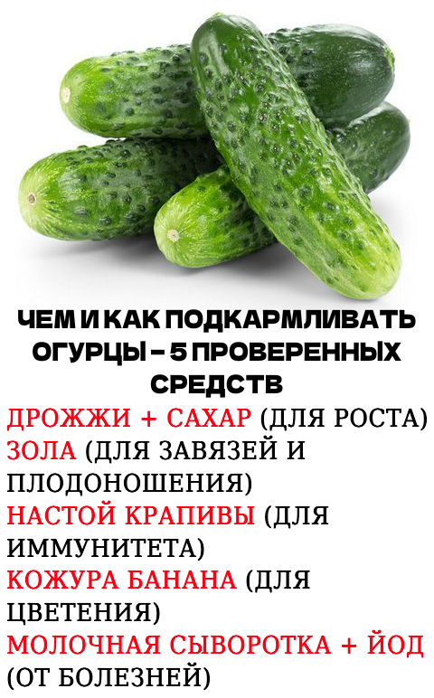 Запись без названия 7804