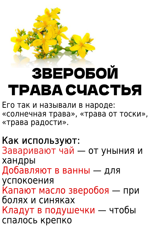 Запись без названия 7807