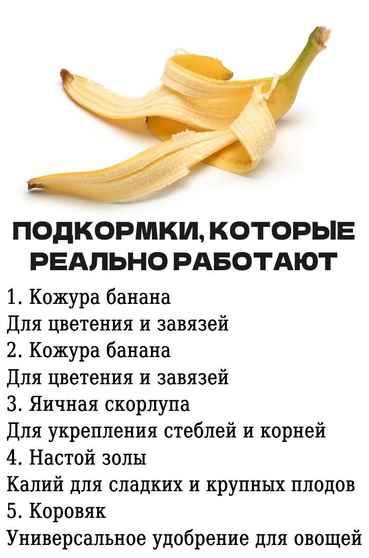 Запись без названия 7887