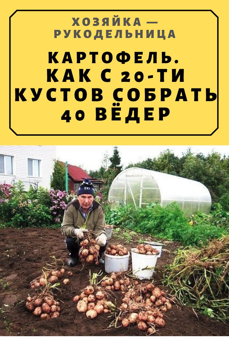 Запись без названия 7664