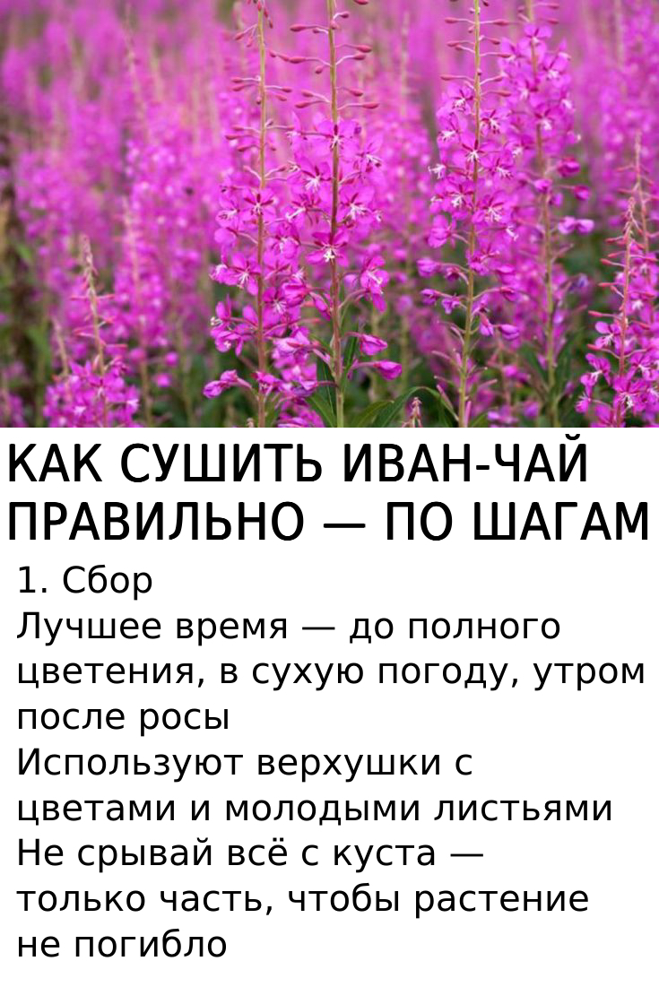 Запись без названия 7801