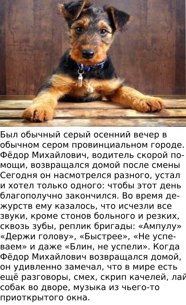 Запись без названия 8125