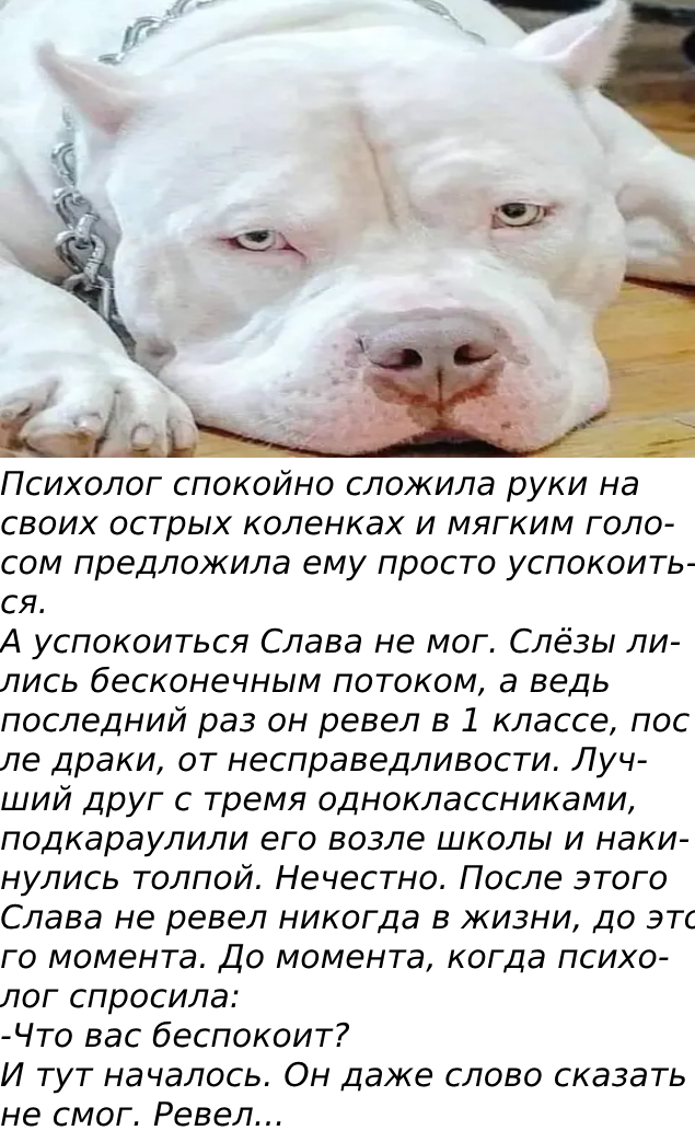 Запись без названия 8116