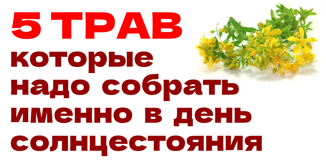 «На солнцестояние трава говорит с душой, а рука собирающего — с Богом».