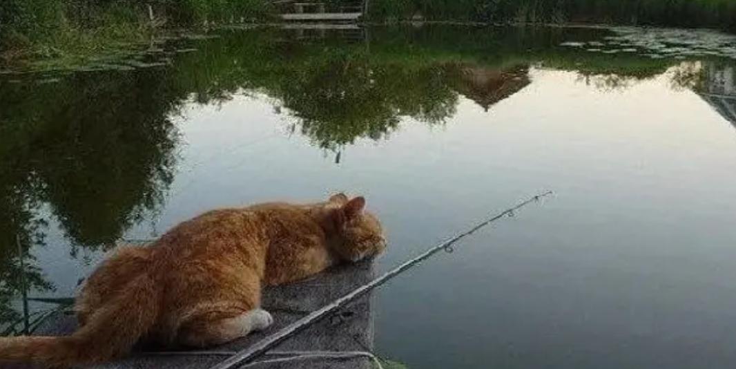 ЧАСТЬ 2
