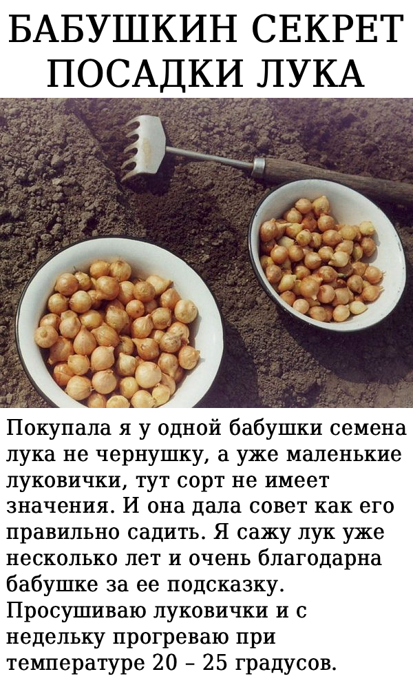 Запись без названия 9726
