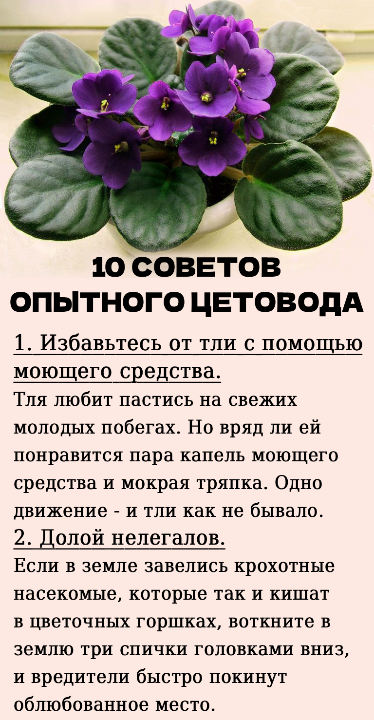 Запись без названия 9746