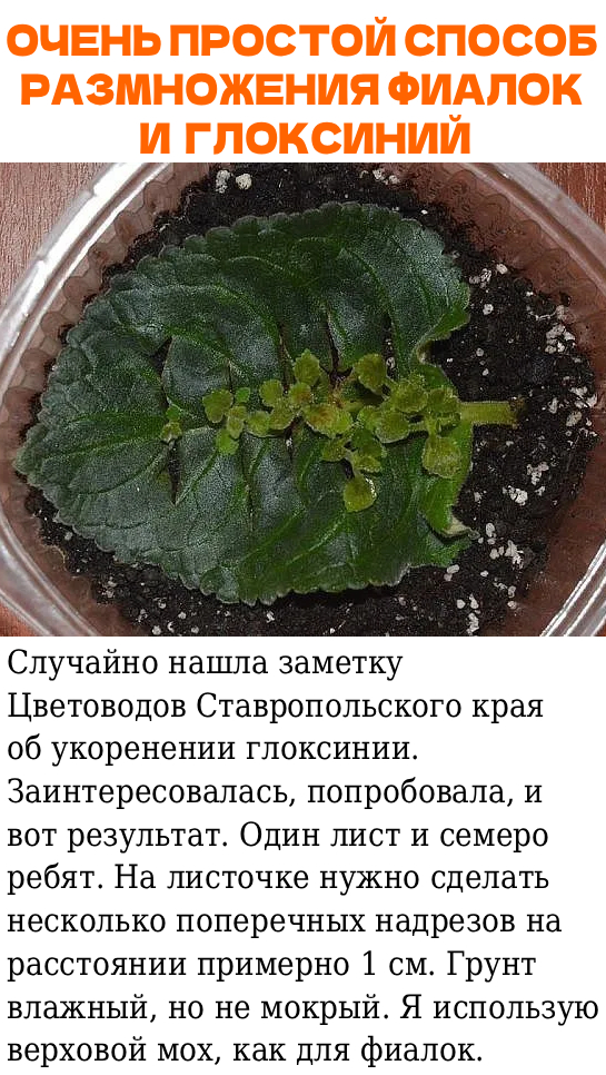 Запись без названия 9741