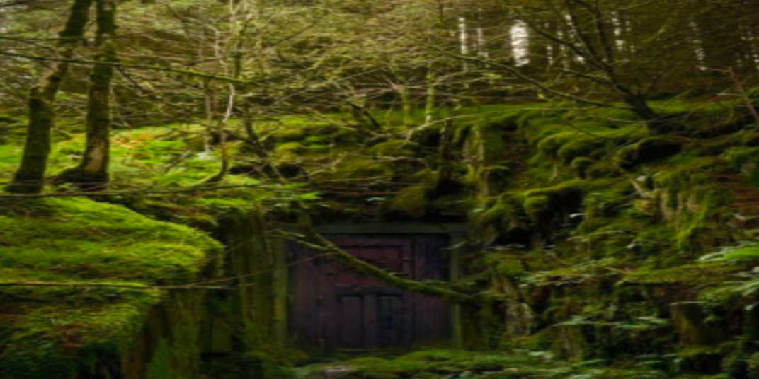 ПРОДОЛЖЕНИЕ…