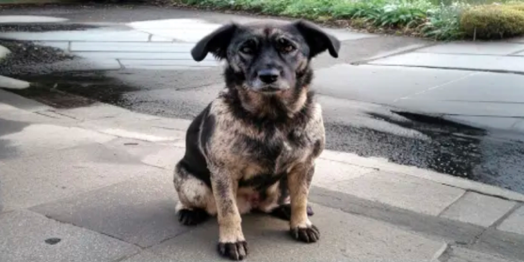 ПРОДОЛЖЕНИЕ…