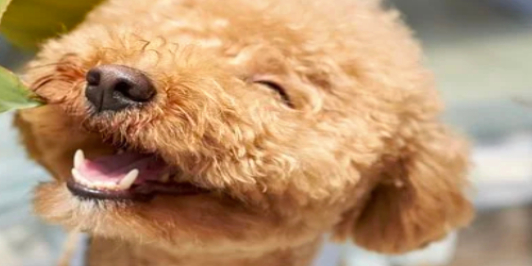 ПРОДОЛЖЕНИЕ…