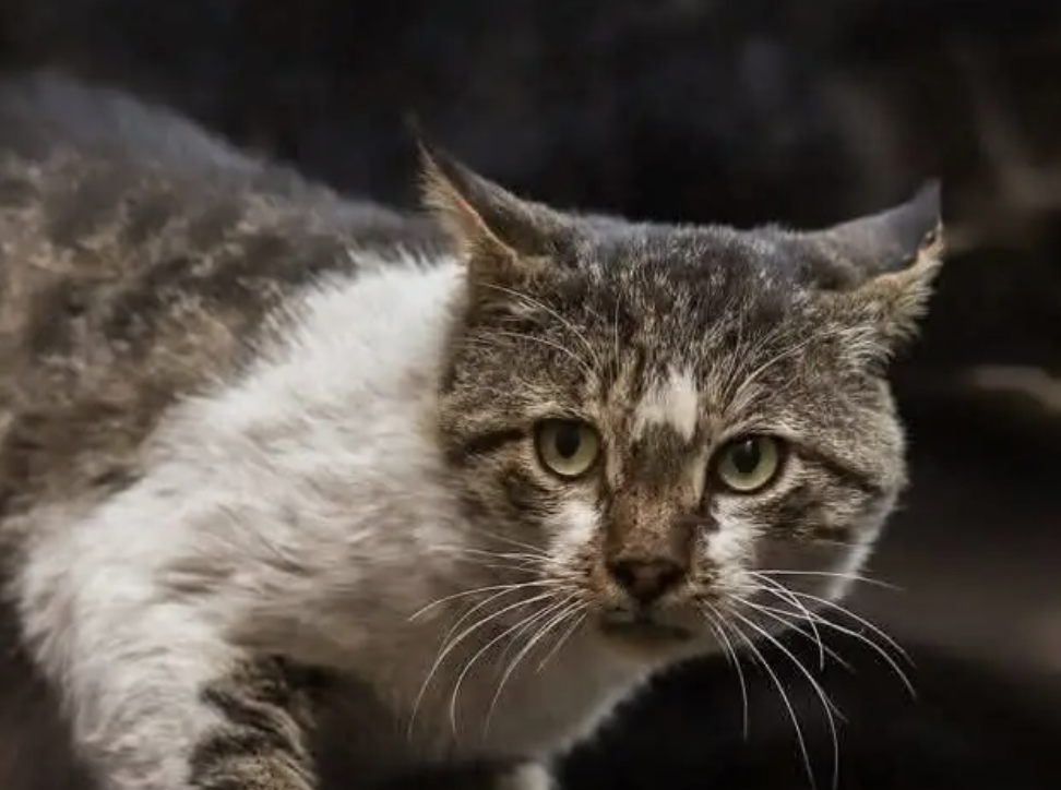 ПРОДОЛЖЕНИЕ