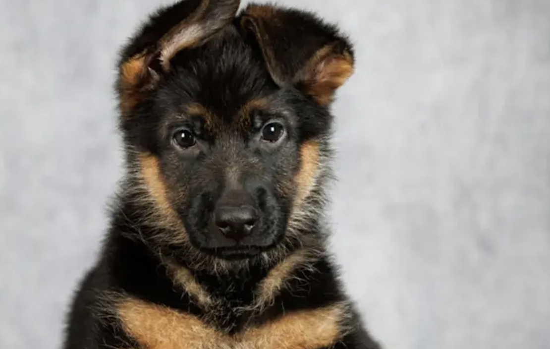 ПРОДОЛЖЕНИЕ