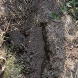 Погребенную заживо женщину спасли из могилы через 3 дня